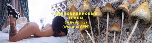 круглые Нея