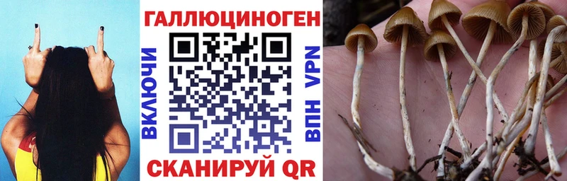 Псилоцибиновые грибы Magic Shrooms  Усолье 